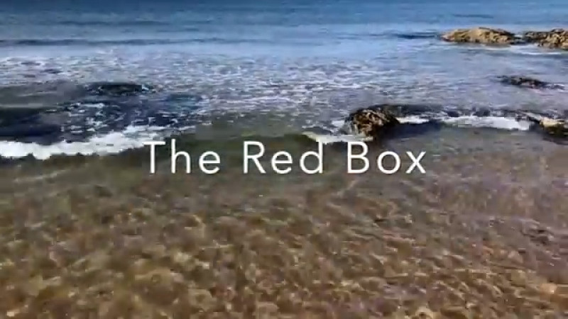 Malcolm Macfarlane - The Red Box